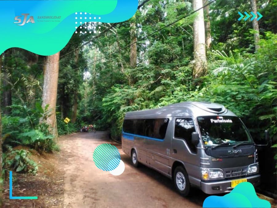 Sewa bus murah di Bali