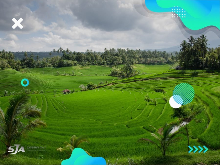 Sewa bus pariwisata di Bali Sandholiday