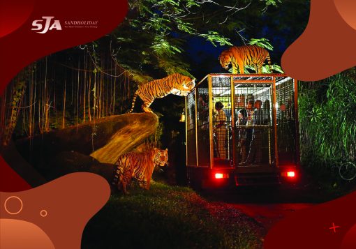 Harga Tiket Masuk Bali Zoo Park 2019 Bali - Sandholiday